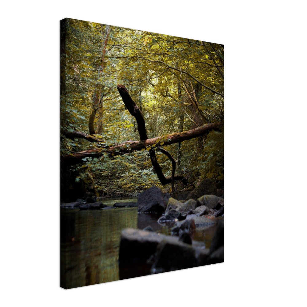 248a3fbc-95c8-468b-9505-69acb79208b5