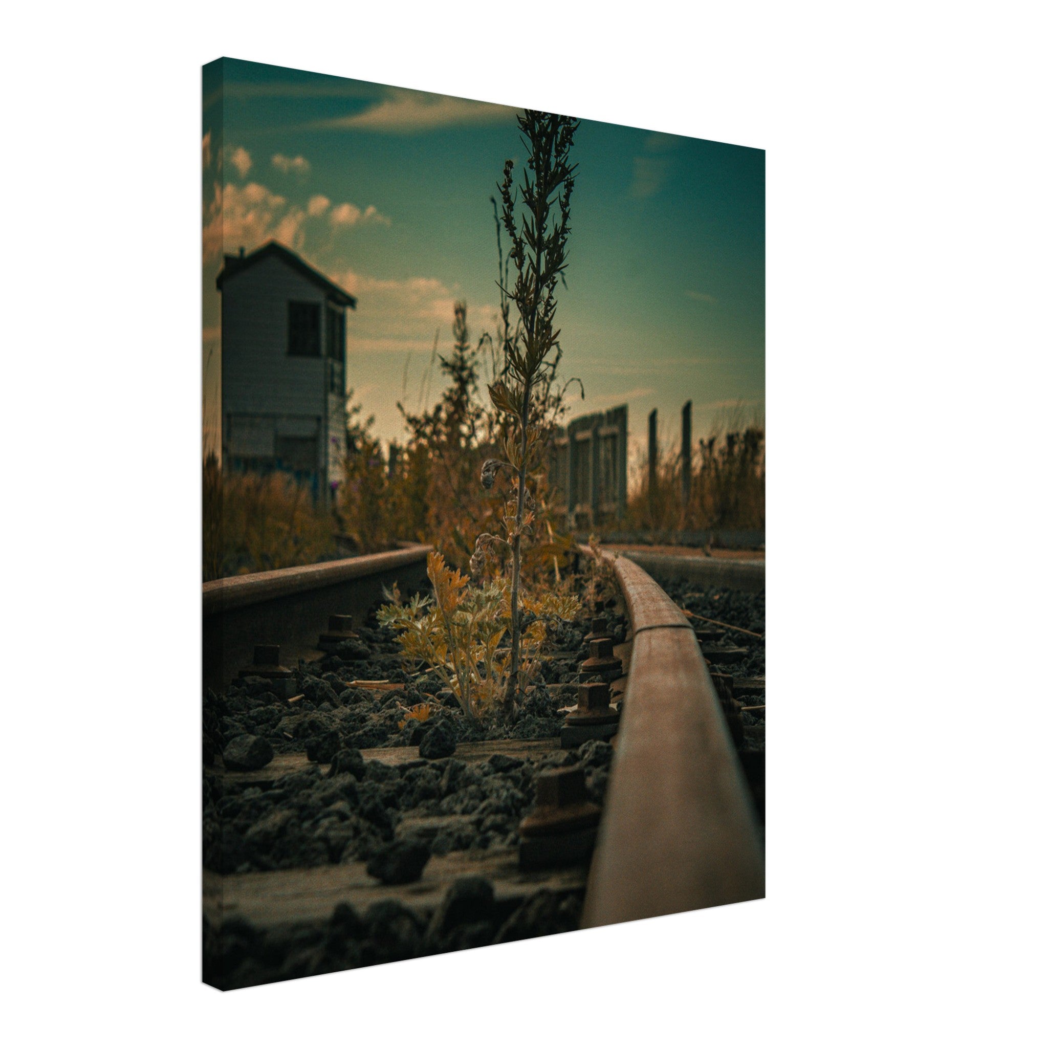 394c4132-d107-438e-95ef-b4276fb5b101