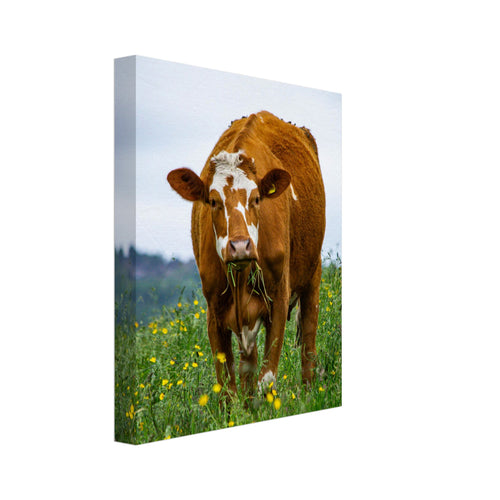 3bbebc51-1a85-4515-9a3e-f4da2806604a