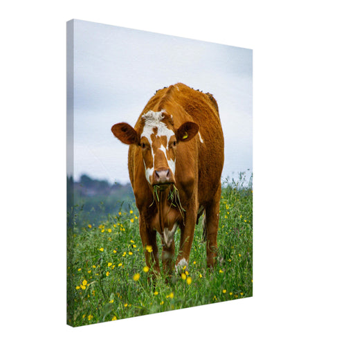 469d85cb-00a3-4619-866c-a21ec45f27f4