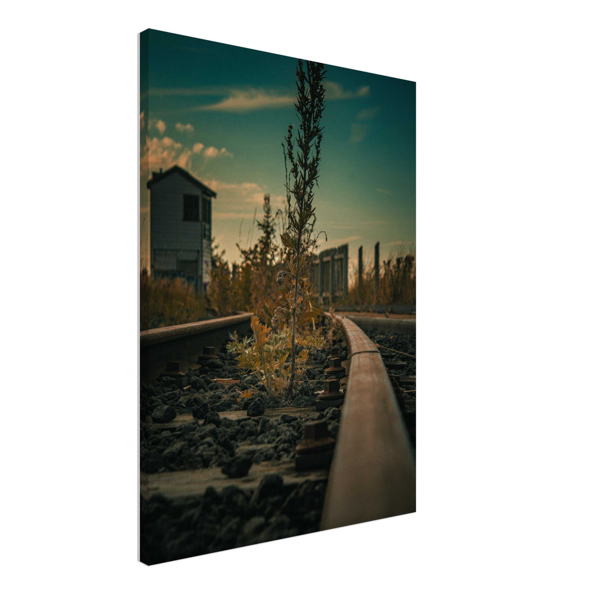 5842aa87-bc80-42aa-b083-1dde135a4c75