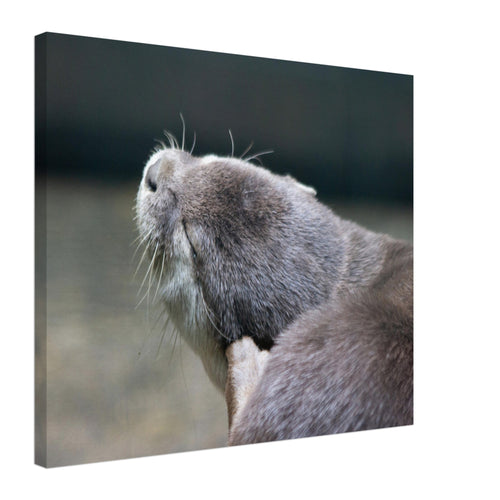 7aaa496c-8e9d-41bd-a3e4-a0acd6a9bf90