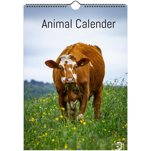 89d2050d-087b-4564-949f-b573716c7cf9