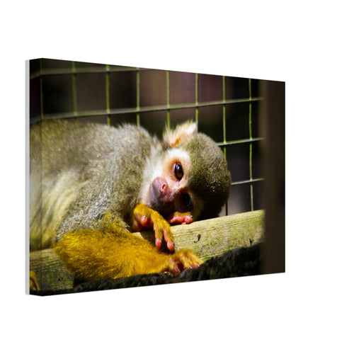 a6712a40-2948-408d-a9d3-5251148cc339