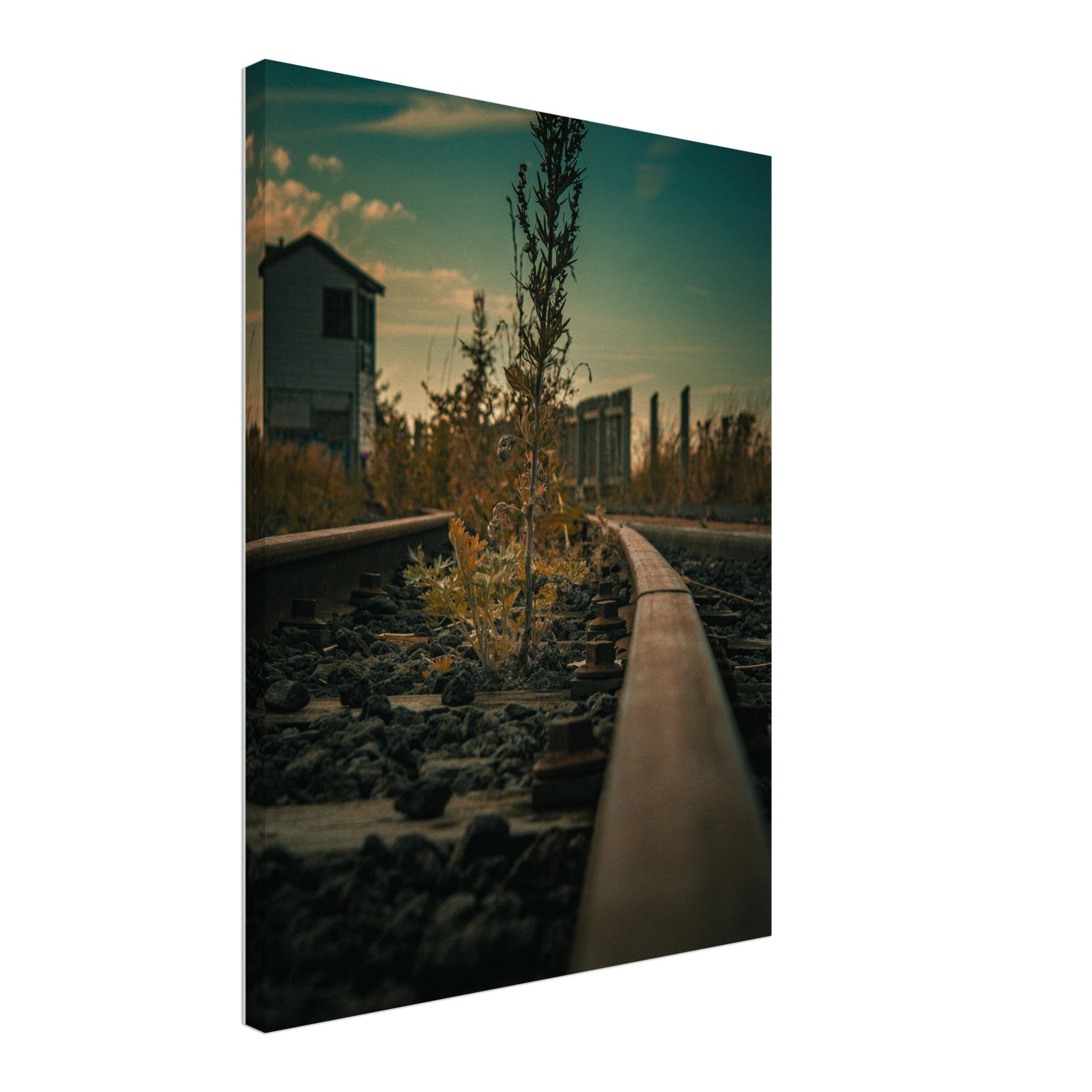 aa76fabd-b714-4b1c-903f-05b125f9632a