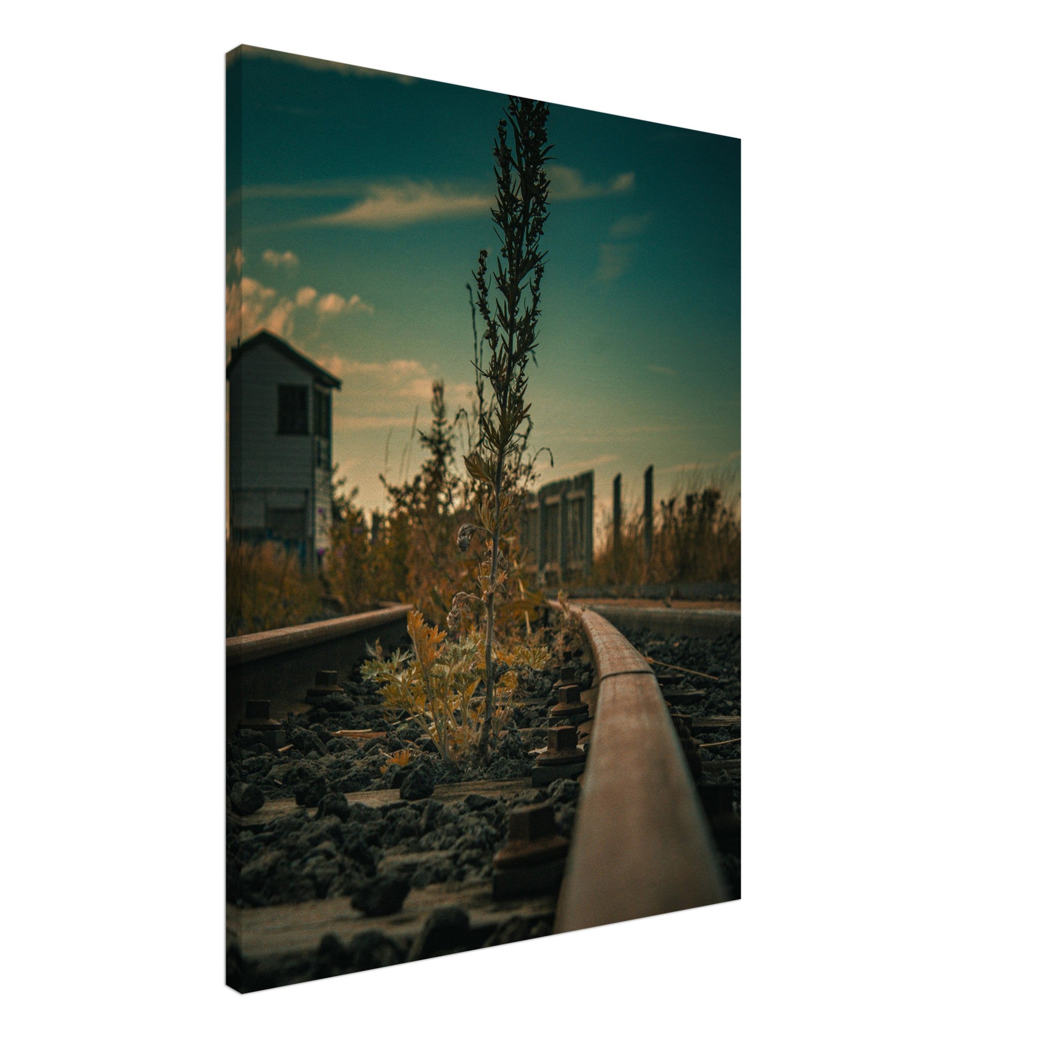 afeb8167-f47b-47bf-9be5-476d483c4109