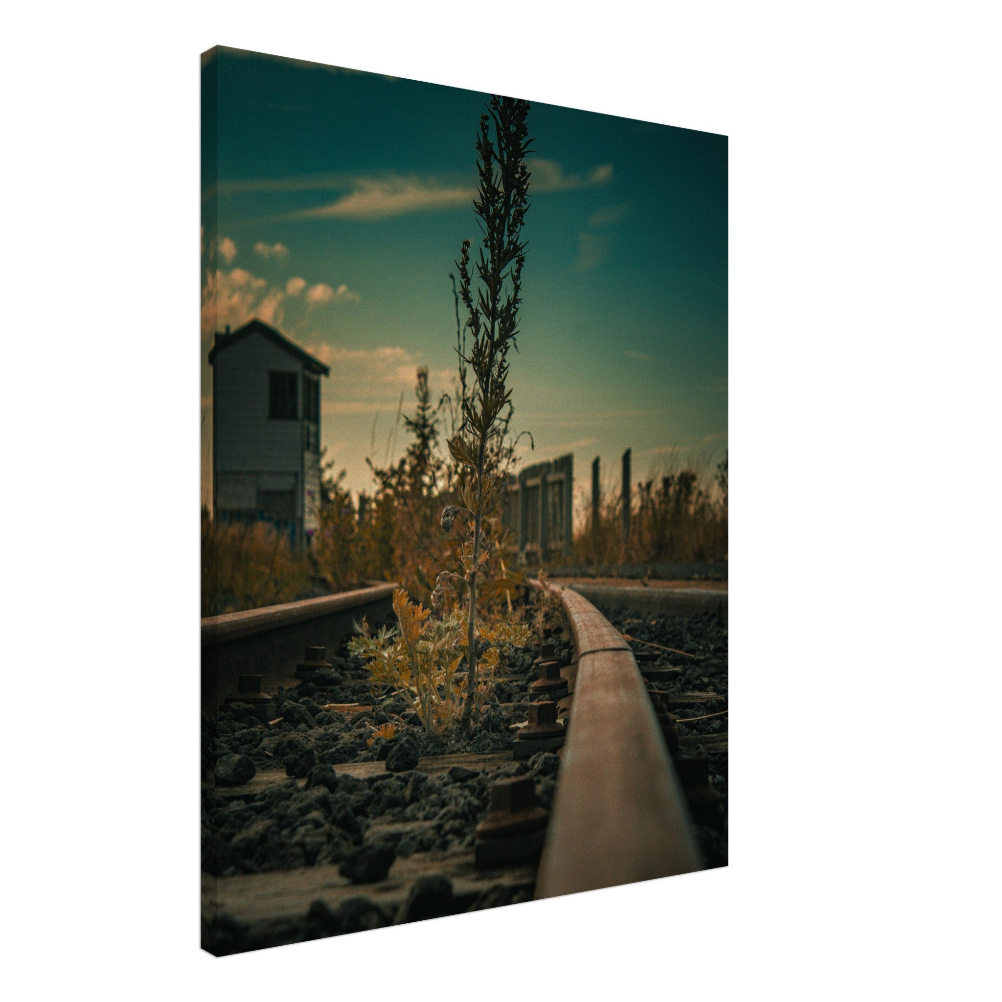 be09af2f-9ced-41ef-adda-26f0f22fb4e9