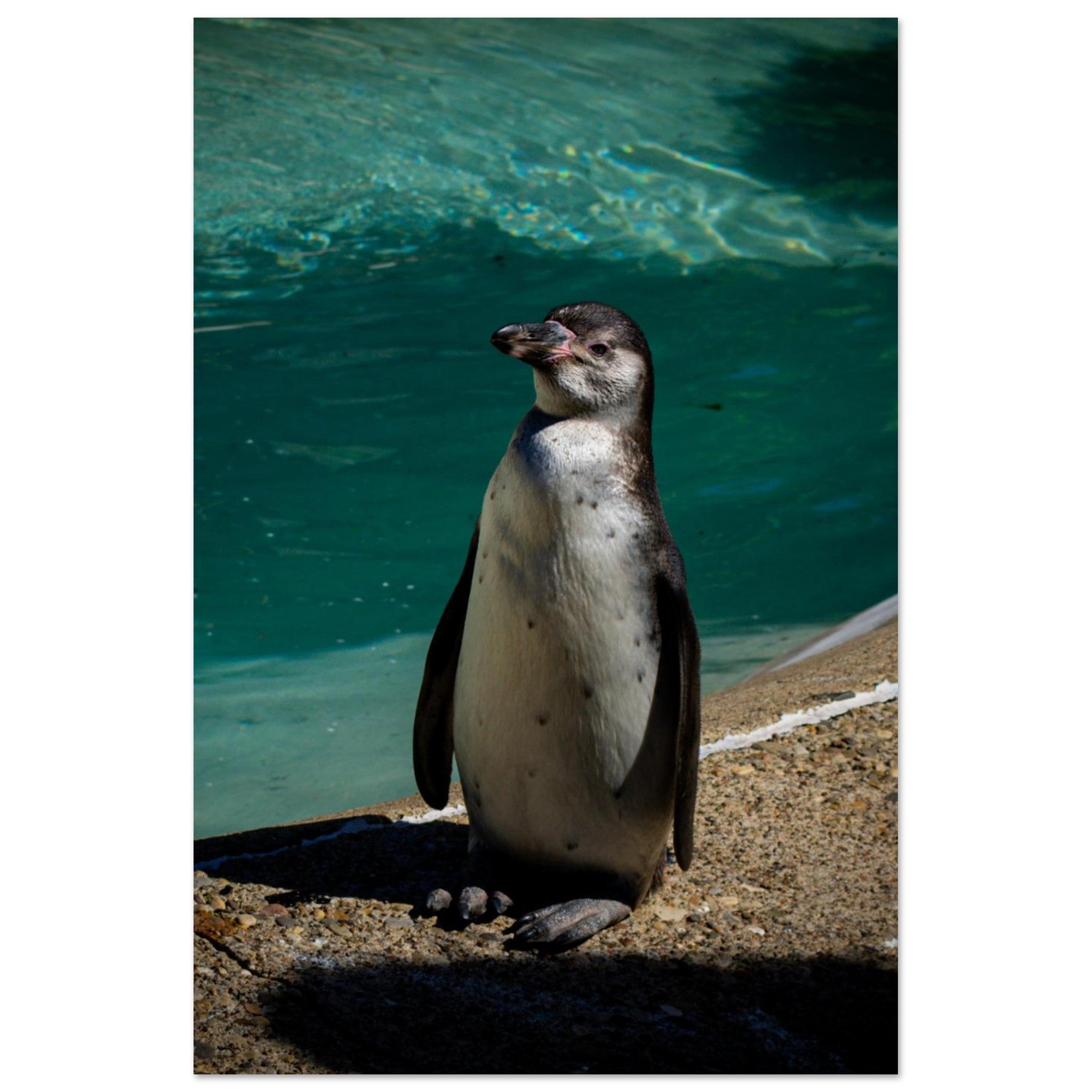 e2418673-f154-4cef-b534-f99cfb19d199