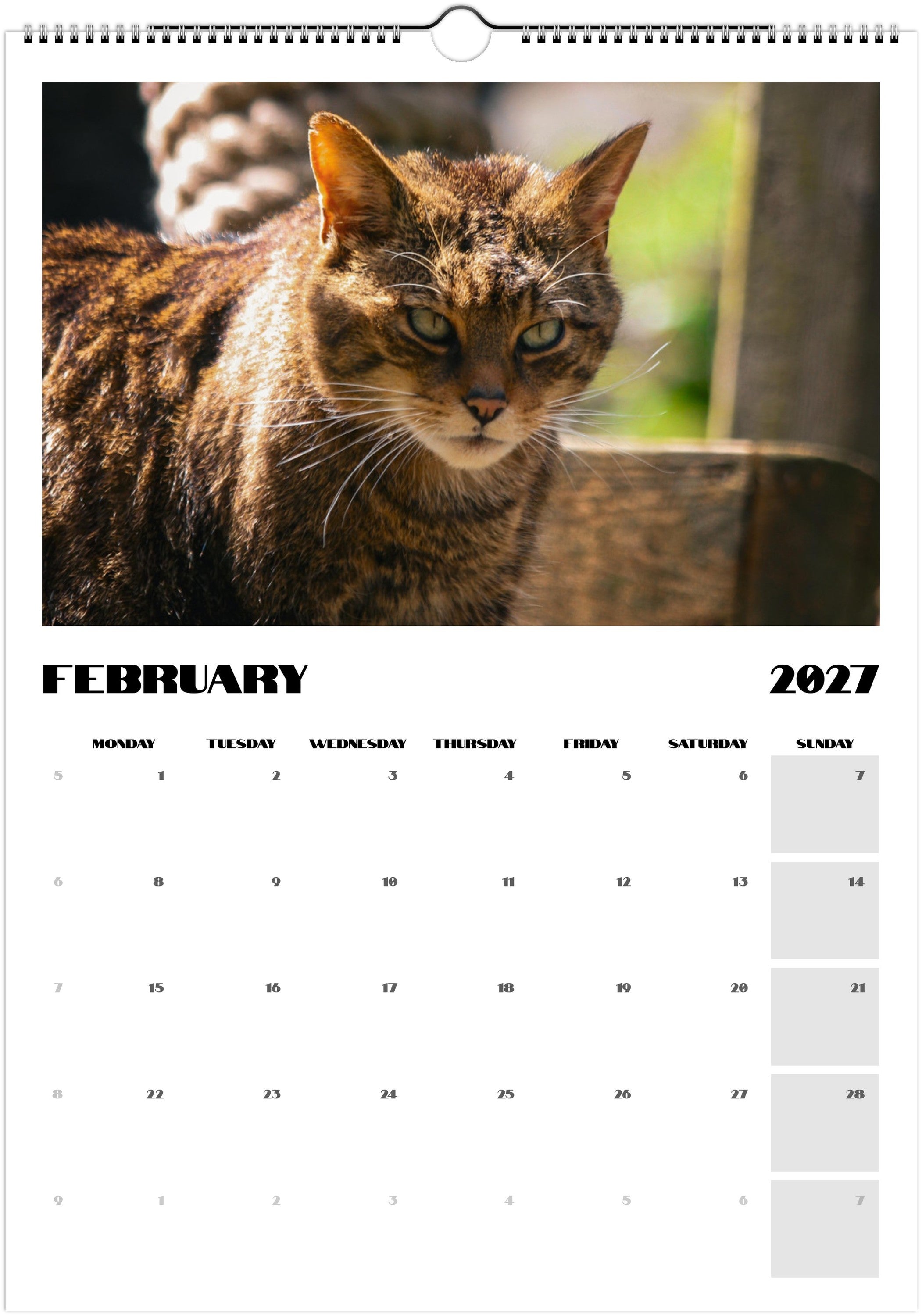 Animal Calendar
