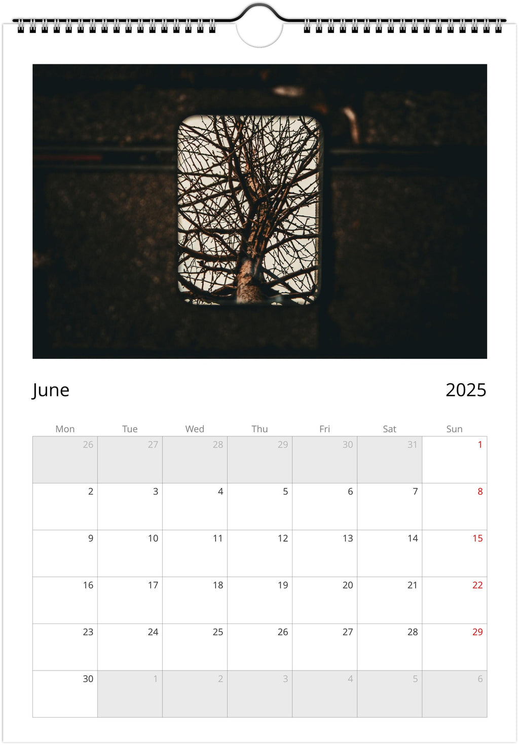 Reflection Calendar