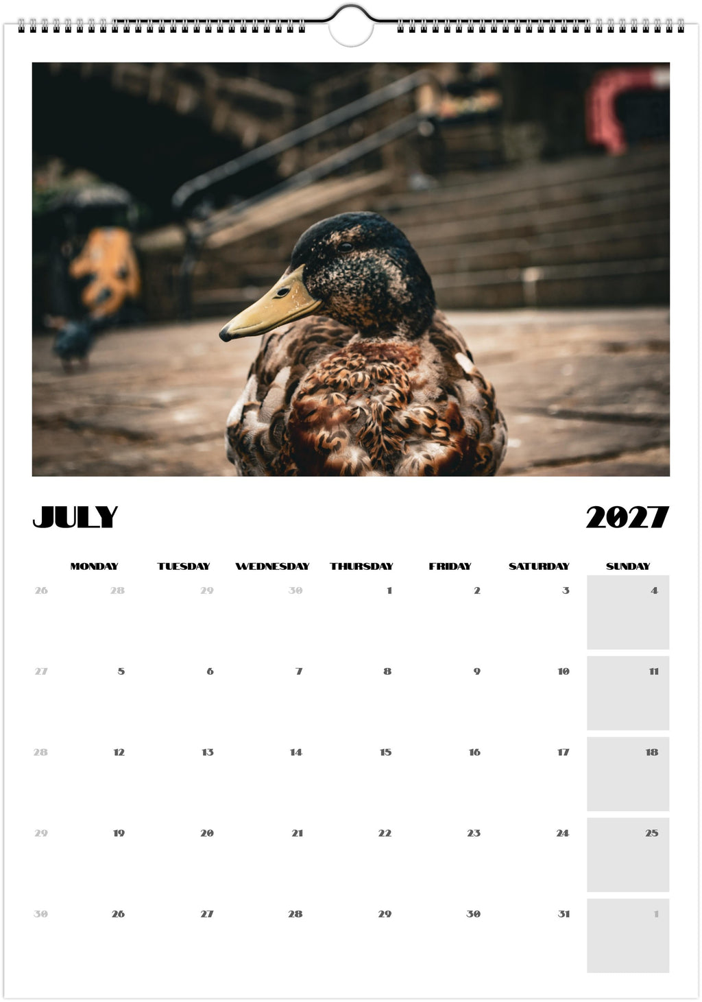 Animal Calendar