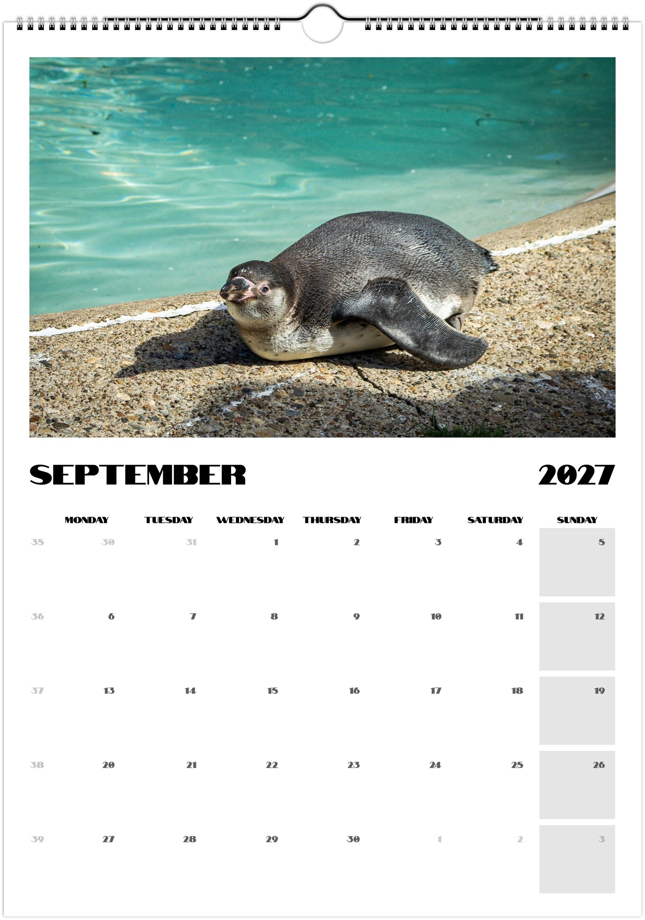 Animal Calendar
